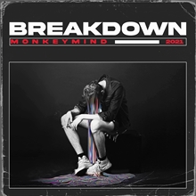 Monkey Mind - Breakdown, CD